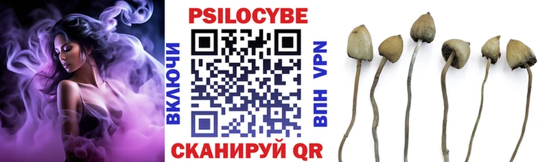 Псилоцибиновые грибы Psilocybe  продажа наркотиков  Лысково 